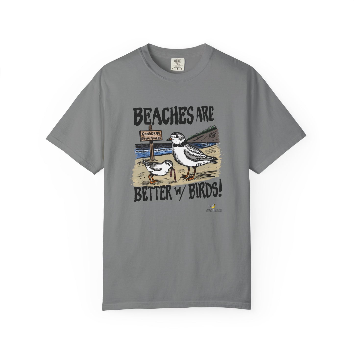 Piping Plover Conservation Program - "Beaches Are Better With Birds" by Hannah Coyne