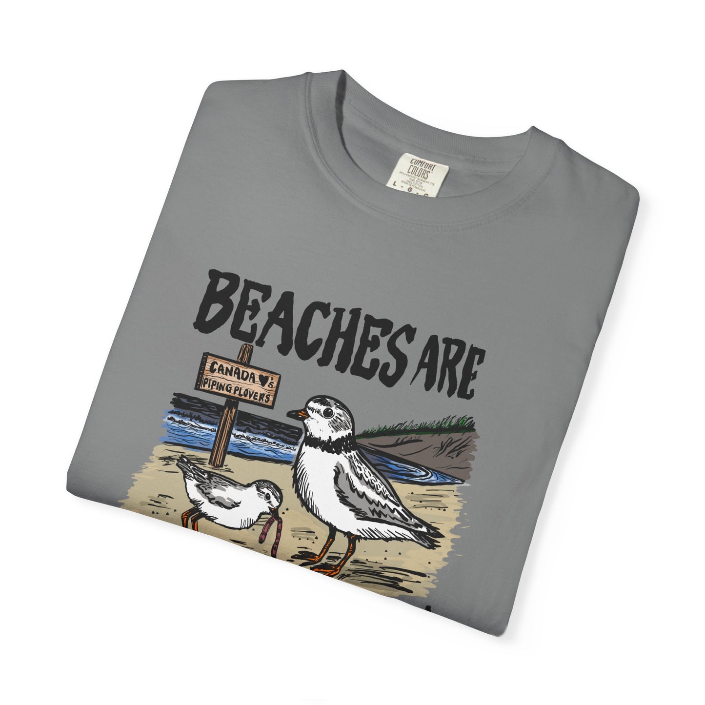 Piping Plover Conservation Program - "Beaches Are Better With Birds" by Hannah Coyne