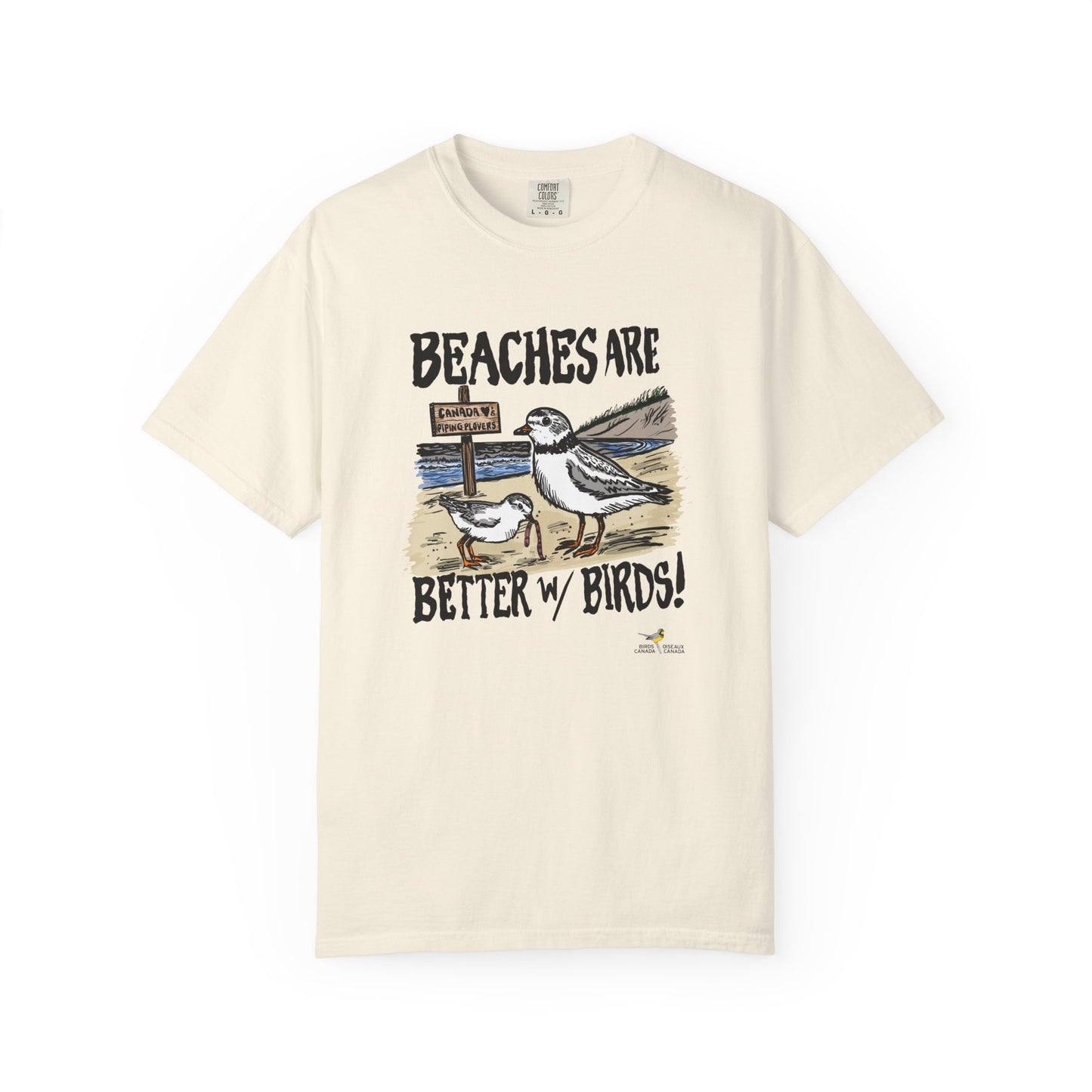 Piping Plover Conservation Program - "Beaches Are Better With Birds" by Hannah Coyne