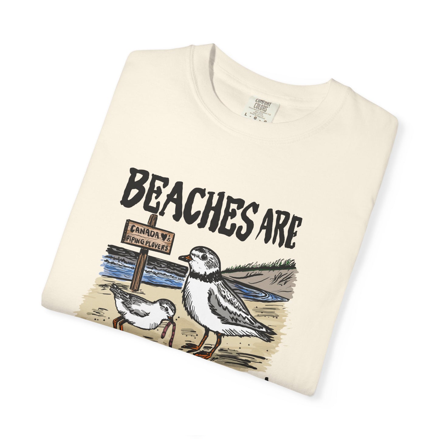 Piping Plover Conservation Program - "Beaches Are Better With Birds" by Hannah Coyne